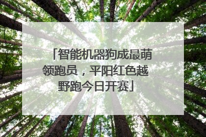 智能机器狗成最萌领跑员，平阳红色越野跑今日开赛
