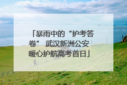 暴雨中的“护考答卷” 武汉新洲公安暖心护航高考首日
