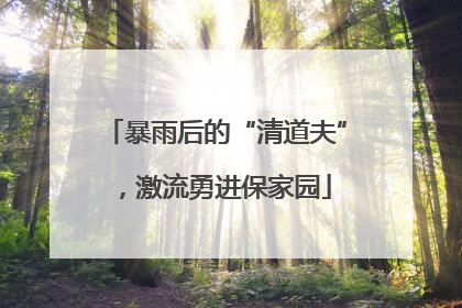 暴雨后的“清道夫”，激流勇进保家园