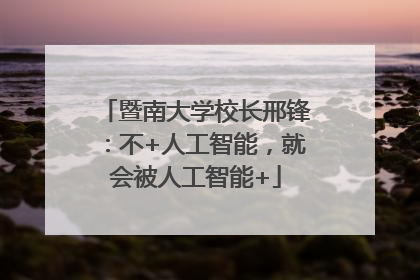 暨南大学校长邢锋：不+人工智能，就会被人工智能+