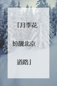 月季花扮靓北京道路