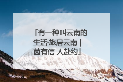 有一种叫云南的生活·旅居云南｜菌有信 人赴约