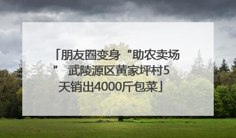 朋友圈变身“助农卖场” 武陵源区黄家坪村5天销出4000斤包菜