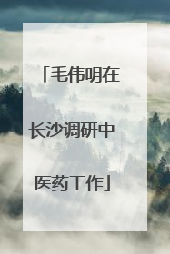 毛伟明在长沙调研中医药工作
