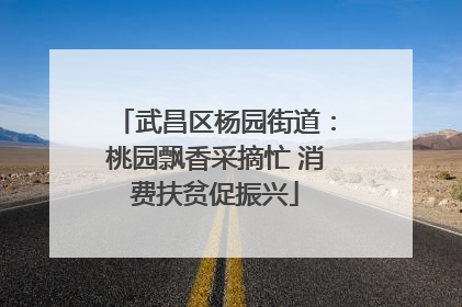 武昌区杨园街道：桃园飘香采摘忙 消费扶贫促振兴