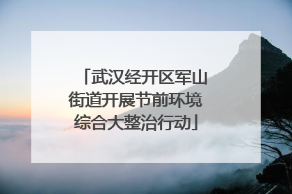武汉经开区军山街道开展节前环境综合大整治行动