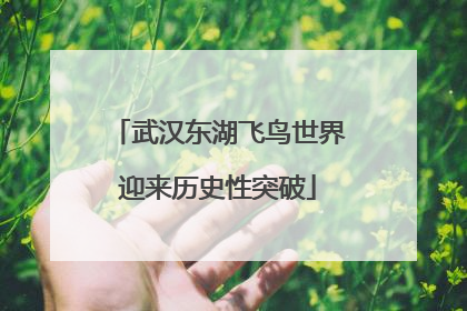 武汉东湖飞鸟世界迎来历史性突破