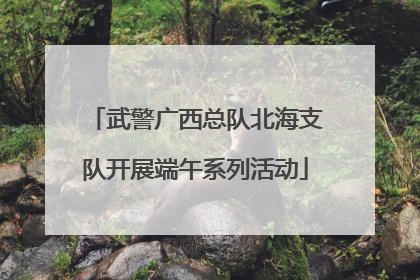 武警广西总队北海支队开展端午系列活动