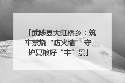 武陟县大虹桥乡：筑牢禁烧“防火墙” 守护夏粮好“丰”景