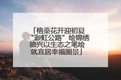 格桑花开迎初夏 “彩虹公路”绘锦绣 德兴以生态之笔绘就宜居幸福图景