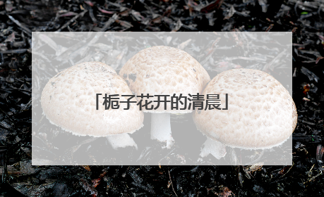 栀子花开的清晨