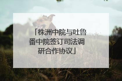 株洲中院与吐鲁番中院签订司法调研合作协议