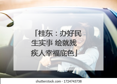桂东：办好民生实事 绘就残疾人幸福底色