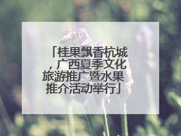 桂果飘香杭城，广西夏季文化旅游推广暨水果推介活动举行