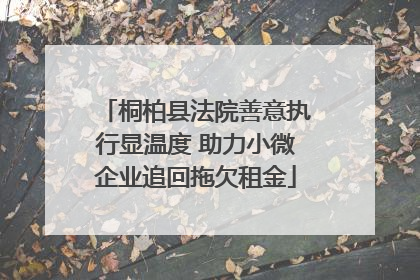 桐柏县法院善意执行显温度 助力小微企业追回拖欠租金