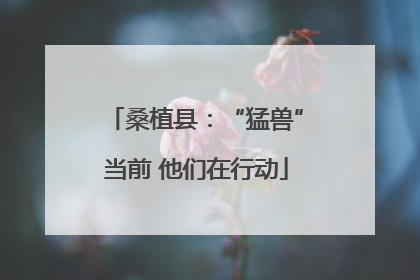 桑植县：“猛兽”当前 他们在行动