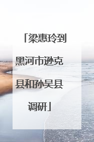 梁惠玲到黑河市逊克县和孙吴县调研