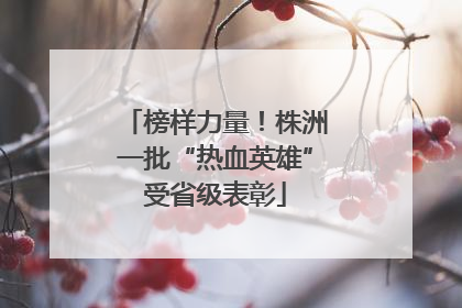 榜样力量！株洲一批“热血英雄”受省级表彰