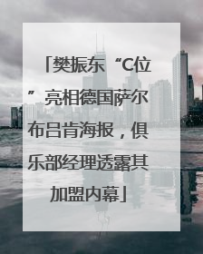 樊振东“C位”亮相德国萨尔布吕肯海报，俱乐部经理透露其加盟内幕