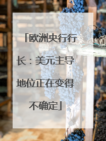 欧洲央行行长：美元主导地位正在变得不确定