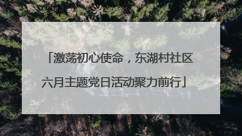 激荡初心使命，东湖村社区六月主题党日活动聚力前行