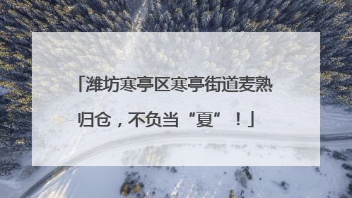 潍坊寒亭区寒亭街道麦熟归仓，不负当“夏”！