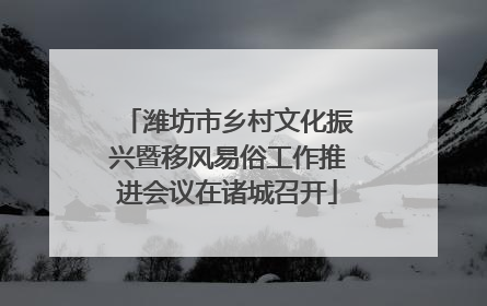 潍坊市乡村文化振兴暨移风易俗工作推进会议在诸城召开