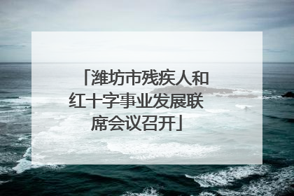潍坊市残疾人和红十字事业发展联席会议召开