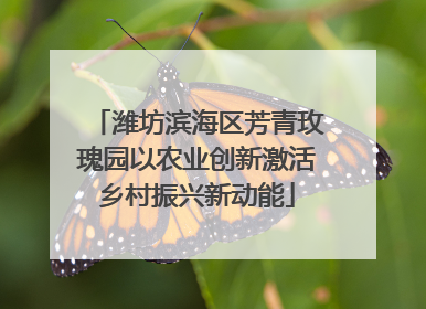 潍坊滨海区芳青玫瑰园以农业创新激活乡村振兴新动能