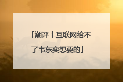 潮评丨互联网给不了韦东奕想要的