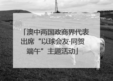 澳中两国政商界代表出席“以球会友·同贺端午”主题活动