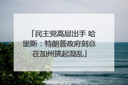 民主党高层出手 哈里斯：特朗普政府刻意在加州挑起混乱