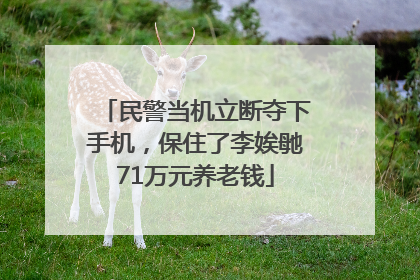 民警当机立断夺下手机，保住了李娭毑71万元养老钱