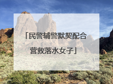 民警辅警默契配合 营救落水女子