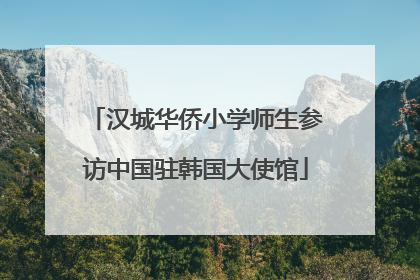 汉城华侨小学师生参访中国驻韩国大使馆