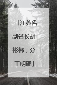 江苏省副省长胡彬郴，分工明确