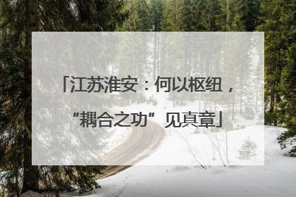 江苏淮安：何以枢纽，“耦合之功”见真章