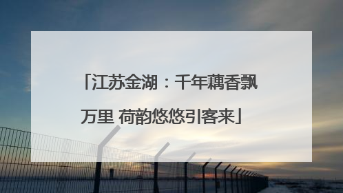 江苏金湖：千年藕香飘万里 荷韵悠悠引客来
