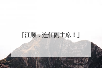 汪顺，连任副主席！