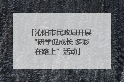 沁阳市民政局开展“研学促成长 多彩在路上”活动