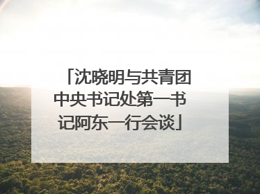 沈晓明与共青团中央书记处第一书记阿东一行会谈