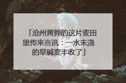 沧州黄骅的这片麦田里传来喜讯：一水未浇的旱碱麦丰收了