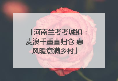 河南兰考考城镇：麦浪千重喜归仓 惠风暖意满乡村