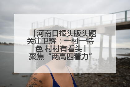 河南日报头版头题关注卫辉：一村一特色 村村有看头 ︳聚焦“两高四着力”·一“县”观察