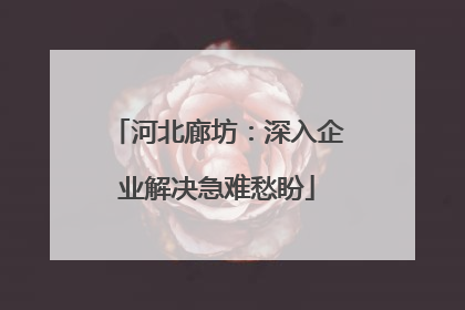 河北廊坊：深入企业解决急难愁盼