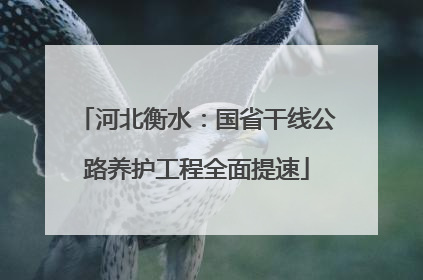 河北衡水：国省干线公路养护工程全面提速