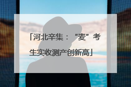 河北辛集：“麦”考生实收测产创新高