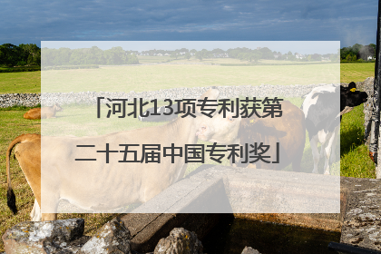 河北13项专利获第二十五届中国专利奖