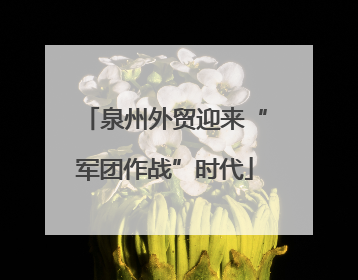 泉州外贸迎来“军团作战”时代