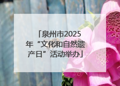 泉州市2025年“文化和自然遗产日”活动举办